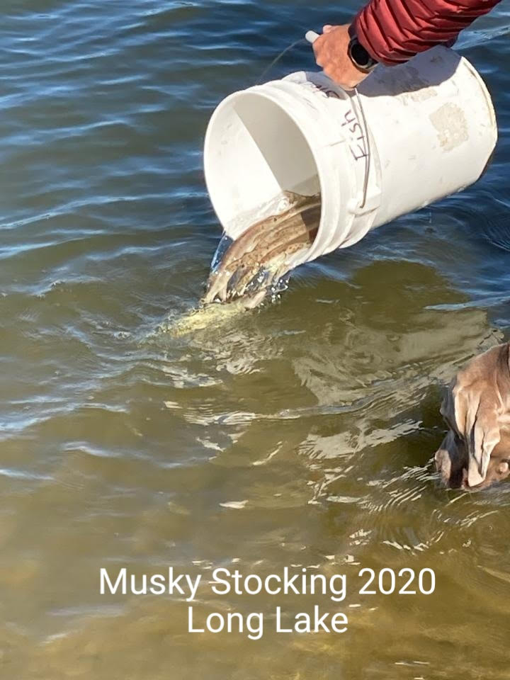 Fish Stocking Update 2020 - Long Lake Improvement and Sanitation Association